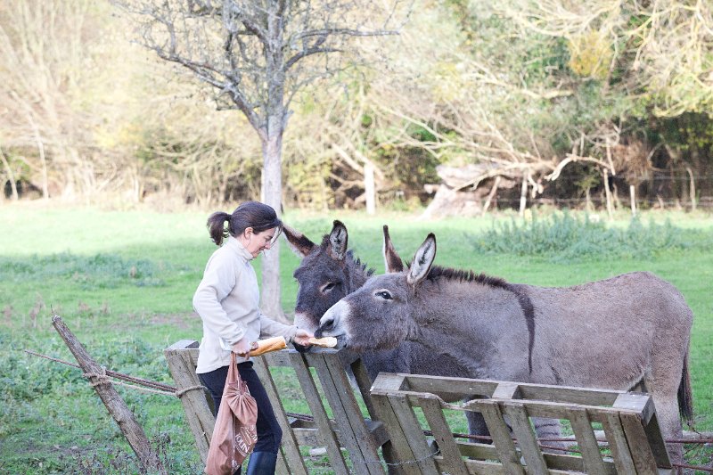 Rando Entre Deux O 2011-2958.jpg